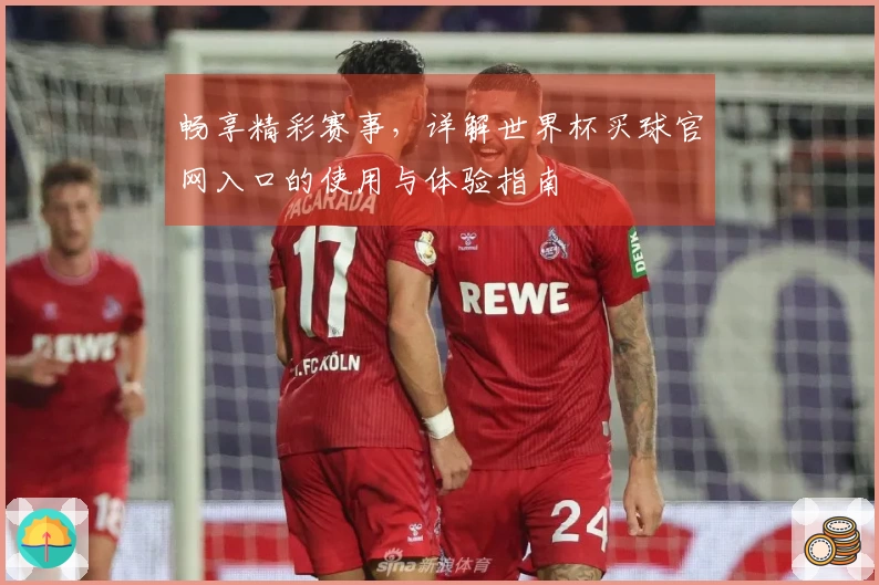 畅享精彩赛事，详解世界杯买球官网入口的使用与体验指南