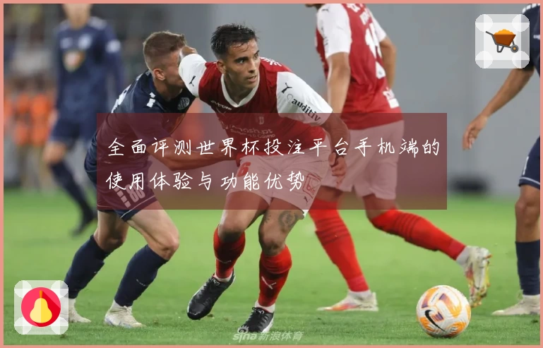 全面评测世界杯投注平台手机端的使用体验与功能优势