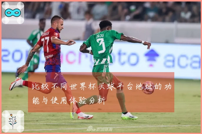比较不同世界杯买球平台地址的功能与使用体验分析