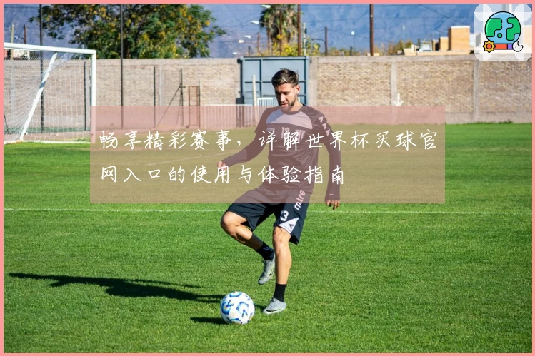 畅享精彩赛事，详解世界杯买球官网入口的使用与体验指南