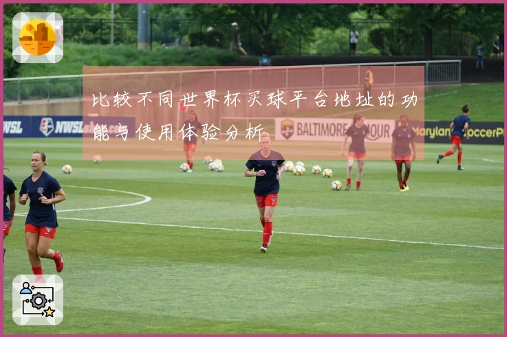比较不同世界杯买球平台地址的功能与使用体验分析