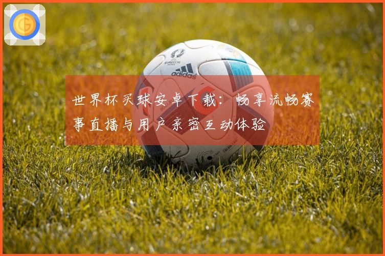 世界杯买球安卓下载：畅享流畅赛事直播与用户亲密互动体验