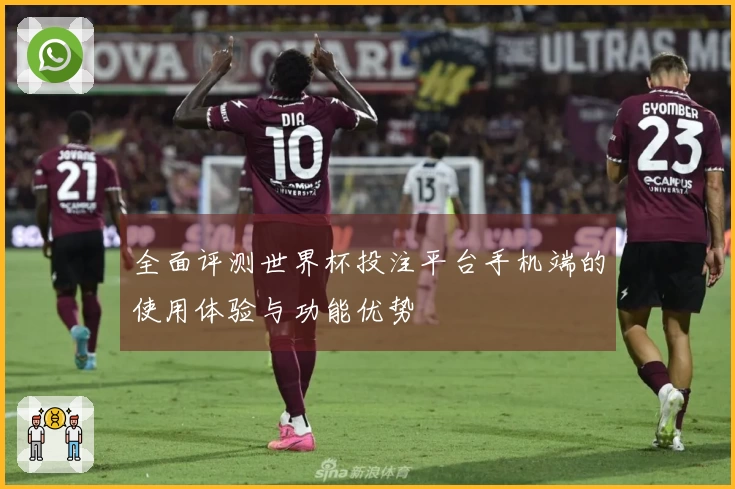 全面评测世界杯投注平台手机端的使用体验与功能优势