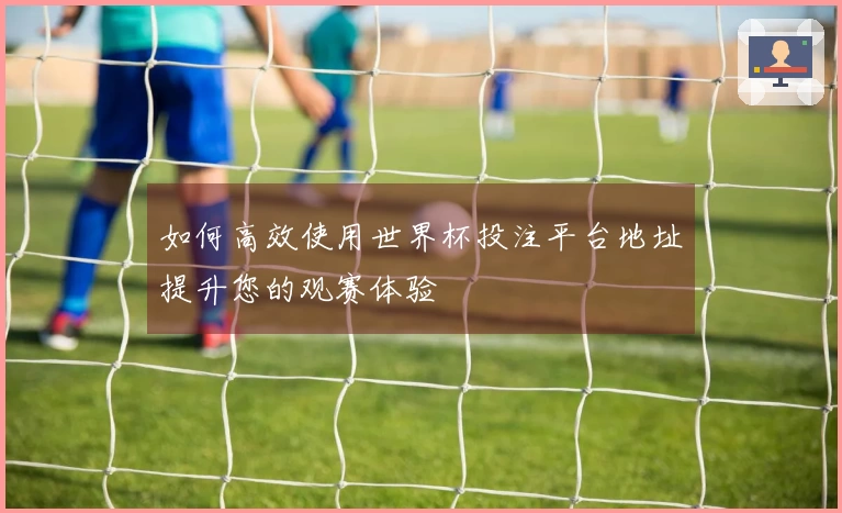 如何高效使用世界杯投注平台地址提升您的观赛体验